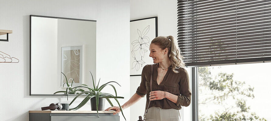 Dieter Knoll Collection - Spiegel